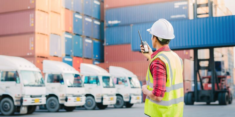 Khai báo hải quan chịu trách nhiệm là bộ phận trung gian