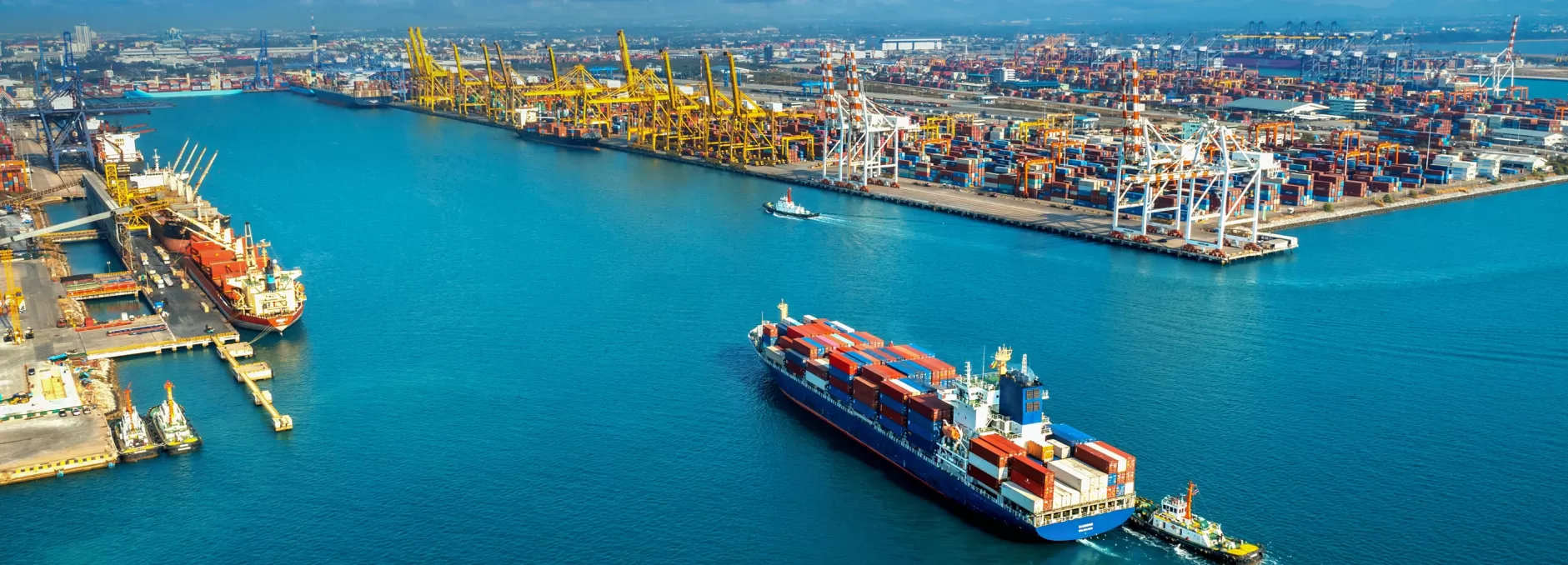 Dai Phuoc Logistics | Gửi trọn niềm tin - Trao tay giá trị